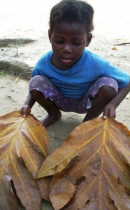 Little boy holding giant leafs